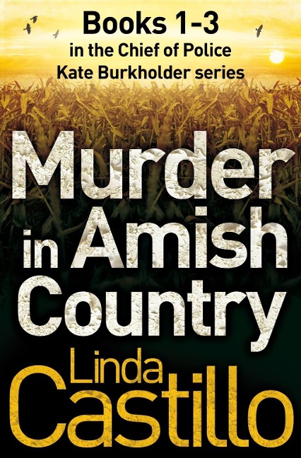 Murder in Amish Country - Linda Castillo