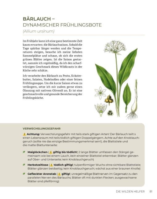 InsideView 12