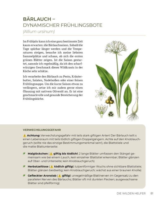 InsideView 12