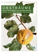 Cover-Bild zum Titel 'Obstbäume: Botanische Zeichnungen und historische Stiche (Wandkalender 2026 DIN A4 hoch), CALVENDO Monatskalender' von 'Calvendo Calvendo'