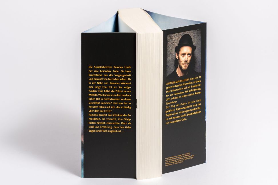 InsideView 4