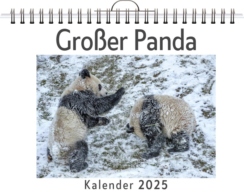 Großer Panda - Theo Fischer