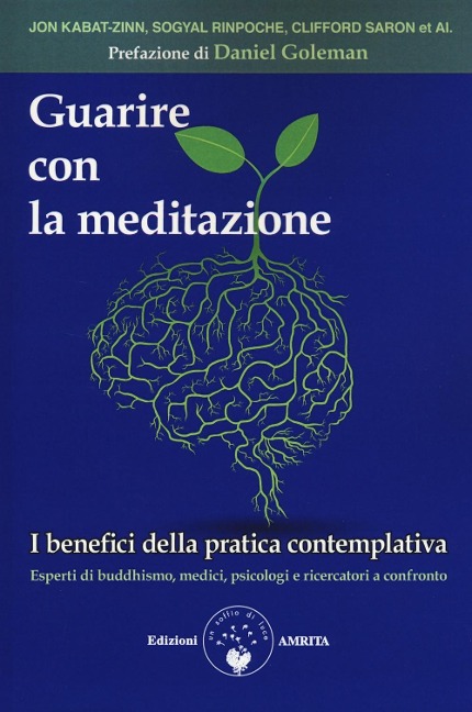 Guarire con la meditazione. I benefici della pratica contemplativa. Esperti di buddhismo, medici e psicologi a confronto - 