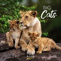 Big Cats 2025 - 