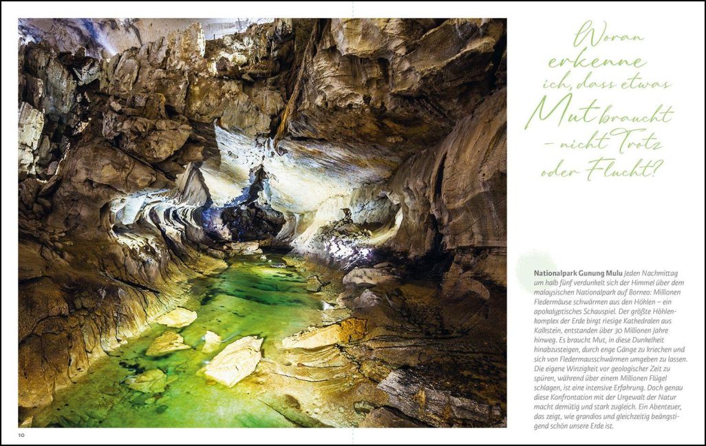 InsideView 6
