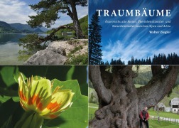Cover-Bild zum Titel 'Traumbäume' von 'Walter Ziegler'