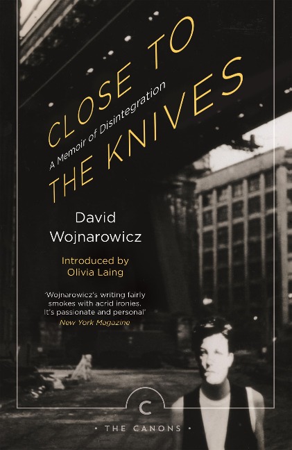 Close to the Knives - David Wojnarowicz