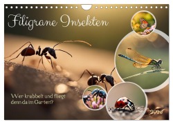 Cover-Bild zum Titel 'Filigrane Insekten (Wandkalender 2026 DIN A4 quer), CALVENDO Monatskalender' von 'Claudia Kleemann'