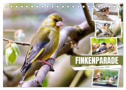 Cover-Bild zum Titel 'Finkenparade (Tischkalender 2026 DIN A5 quer), CALVENDO Monatskalender' von 'Sabine Löwer'