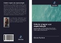 Cover-Bild zum Titel 'Enkele vragen van aspectologie' von 'Oksana Rychlova'