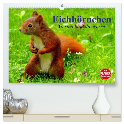 Eichhörnchen. Wo sind bloß die Nüsse? (hochwertiger Premium Wandkalender 2025 DIN A2 quer), Kunstdruck in Hochglanz - Elisabeth Stanzer