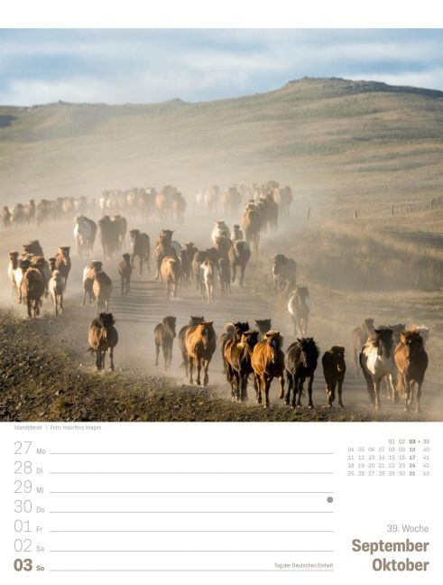 InsideView 43