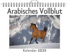 Cover-Bild zum Titel 'Arabisches Vollblut' von 'Samuel Huber'