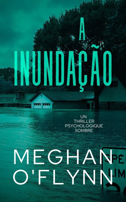 A Inundação: Um Thriller Psicológico Intenso - Meghan O'Flynn