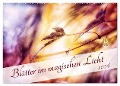 Blätter im magischen Licht (Wandkalender 2024 DIN A2 quer), CALVENDO Monatskalender - Nicc Koch
