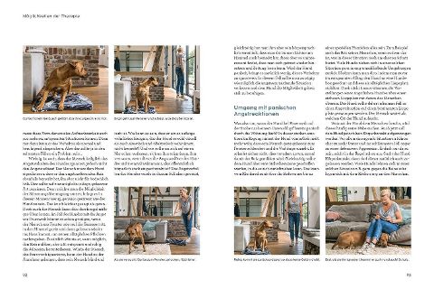 InsideView 4