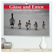 Cover-Bild zum Titel 'Gänse und Enten. Schnattern, watscheln, quaken! (hochwertiger Premium Wandkalender 2026 DIN A2 quer), Kunstdruck in Hochglanz' von 'Elisabeth Stanzer'