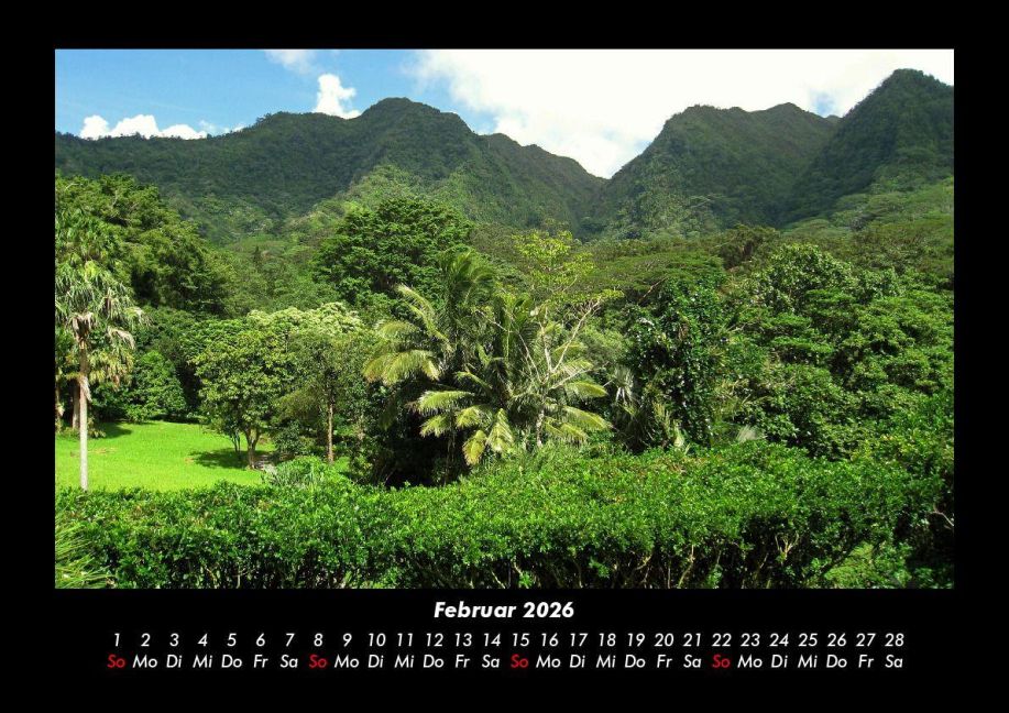InsideView 6