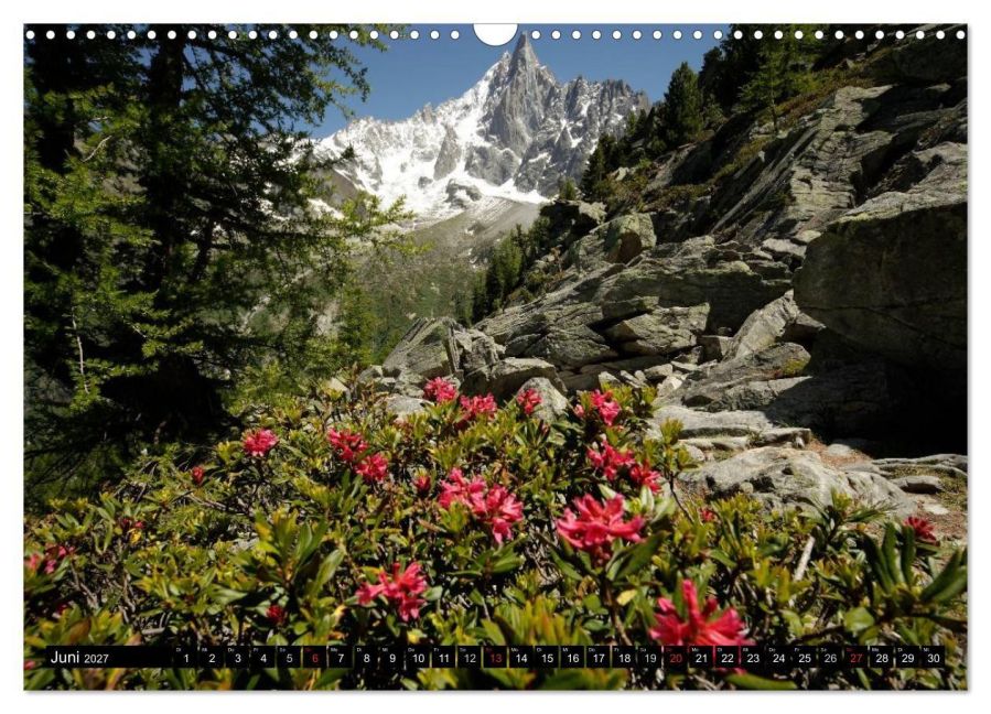 InsideView 11