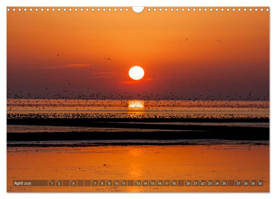 InsideView 9