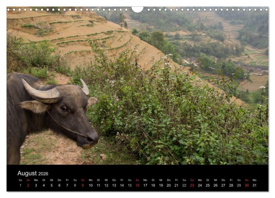 InsideView 13