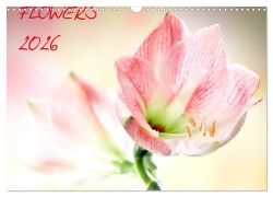Cover-Bild zum Titel 'Flowers / 2026 (Wandkalender 2026 DIN A3 quer), CALVENDO Monatskalender' von 'Axel Und Max Waldecker'