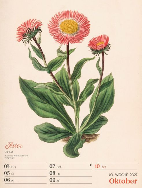 InsideView 44