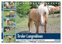 Cover-Bild zum Titel 'Tiroler Langmähnen (Tischkalender 2026 DIN A5 quer), CALVENDO Monatskalender' von 'Katrin Lantzsch'