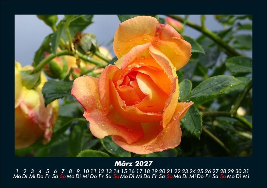 InsideView 7
