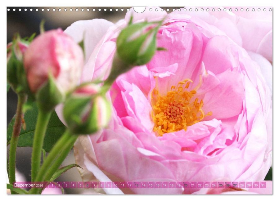 InsideView 4