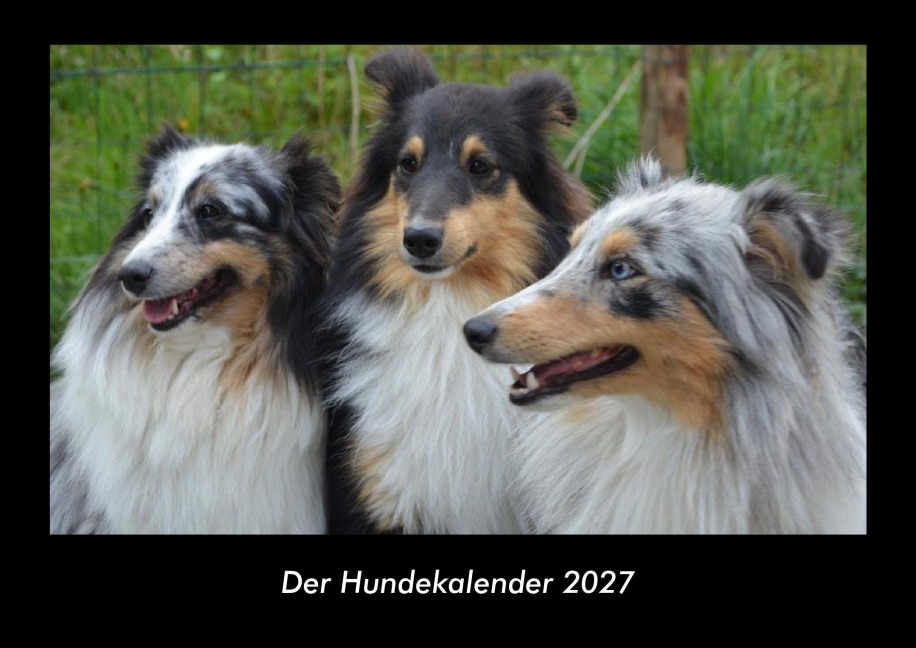 Der Hundekalender 2027 Fotokalender DIN A3 - Tobias Becker
