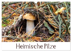 Heimische Pilze (Wandkalender 2026 DIN A3 quer), CALVENDO Monatskalender - LianeM LianeM