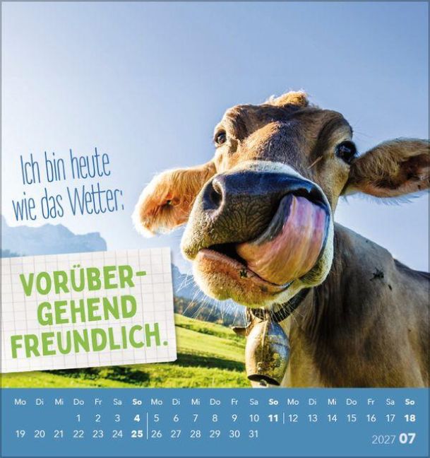 InsideView 7