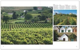 InsideView 4