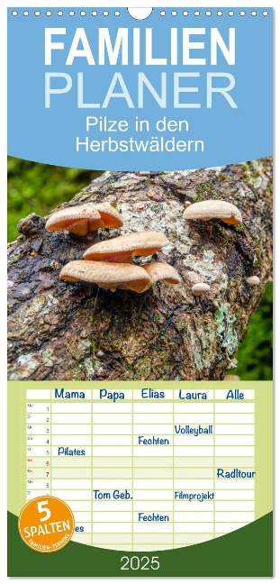 Familienplaner 2025 - Pilze in den Herbstwäldern mit 5 Spalten (Wandkalender, 21 x 45 cm) CALVENDO - Alain Gaymard