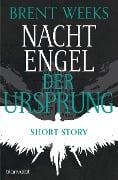 Cover-Bild zum Titel 'Nachtengel - Der Ursprung' von 'Brent Weeks'