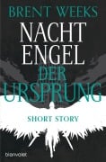 Cover-Bild zum Titel 'Nachtengel - Der Ursprung' von 'Brent Weeks'
