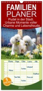 Cover-Bild zum Titel 'Familienplaner 2027 - Pudel in der Stadt. Urbane Momente voller Charme und Lebensfreude mit 5 Spalten (Wandkalender, 21 x 45 cm) CALVENDO' von 'Rose Hurley'