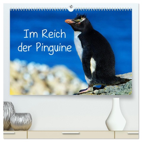 Im Reich der Pinguine (hochwertiger Premium Wandkalender 2025 DIN A2 quer), Kunstdruck in Hochglanz - Hans-Gerhard Pfaff