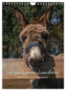 Liebenswerte Landtiere (Wandkalender 2026 DIN A4 hoch), CALVENDO Monatskalender - Jeanette Wüstehube