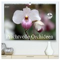 Prachtvolle Orchideen (hochwertiger Premium Wandkalender 2025 DIN A2 quer), Kunstdruck in Hochglanz - SchnelleWelten SchnelleWelten