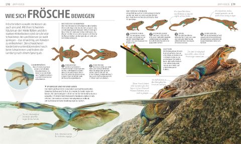 InsideView 5