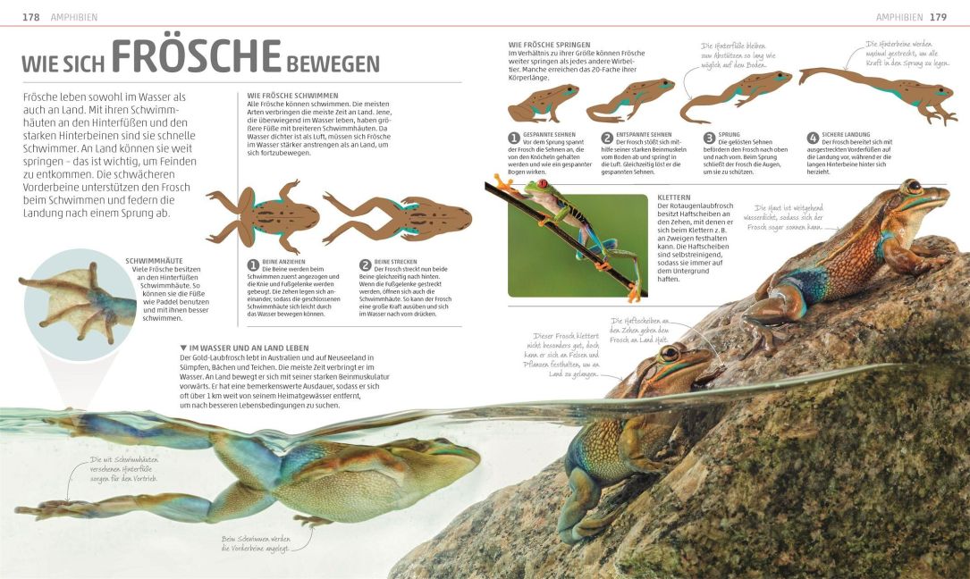 InsideView 5