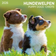 Cover-Bild zum Titel 'Hundewelpen/Puppy Dogs 2026' von ''