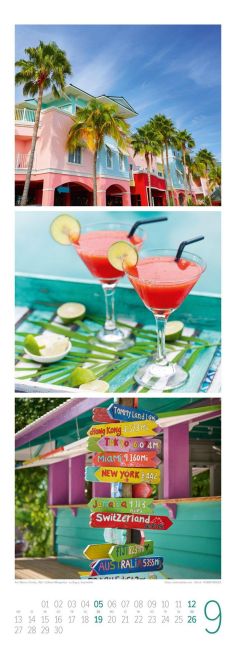 InsideView 9