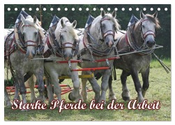 Cover-Bild zum Titel 'Starke Pferde bei der Arbeit (Tischkalender 2026 DIN A5 quer), CALVENDO Monatskalender' von 'Antje Lindert-Rottke'