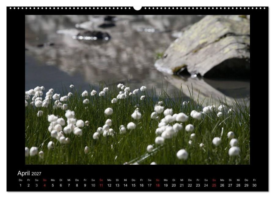 InsideView 8