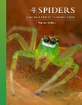 Cover-Bild zum Titel 'The Lives of Spiders' von 'Ximena Nelson'