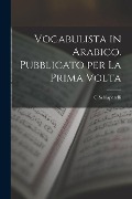 Cover-Bild zum Titel 'Vocabulista in Arabico. Pubblicato per la Prima Volta' von 'C. Schiaparelli'
