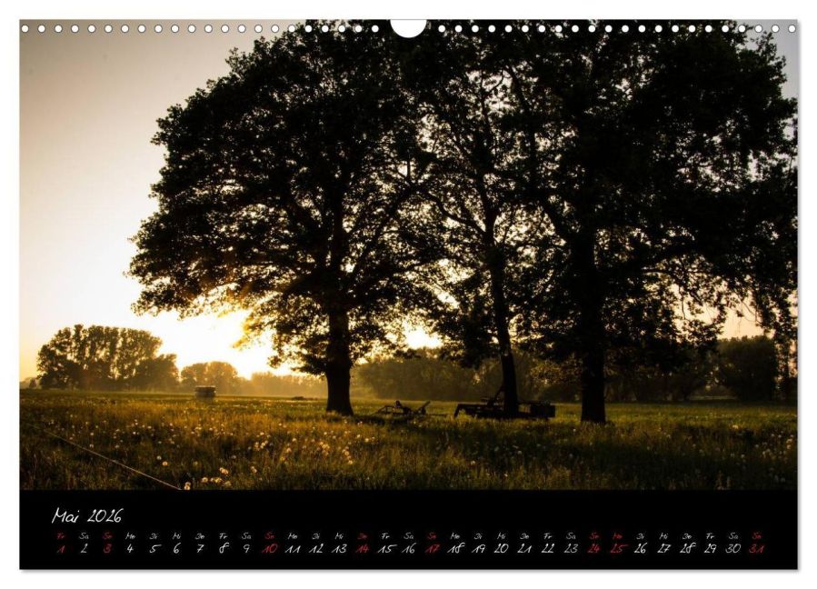 InsideView 10